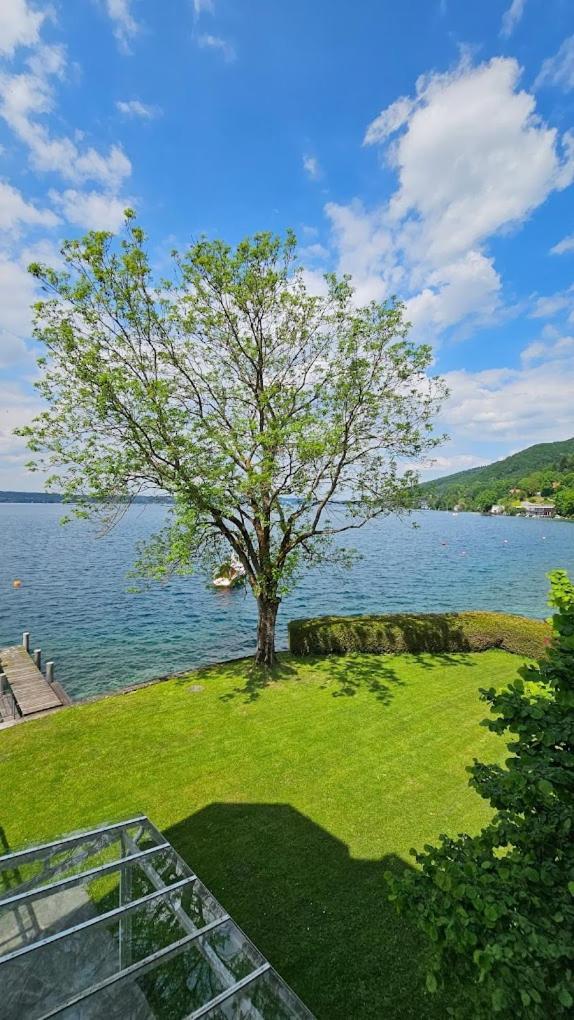 Gasthof Mit Seeterasse & Appartements Zur Landeroith Вайрег Экстерьер фото